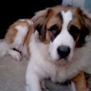 Meet your Posher, Charmaine